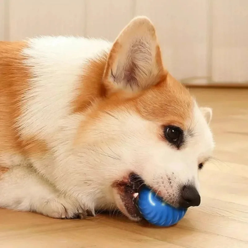 Brinquedo interativo para cachorro