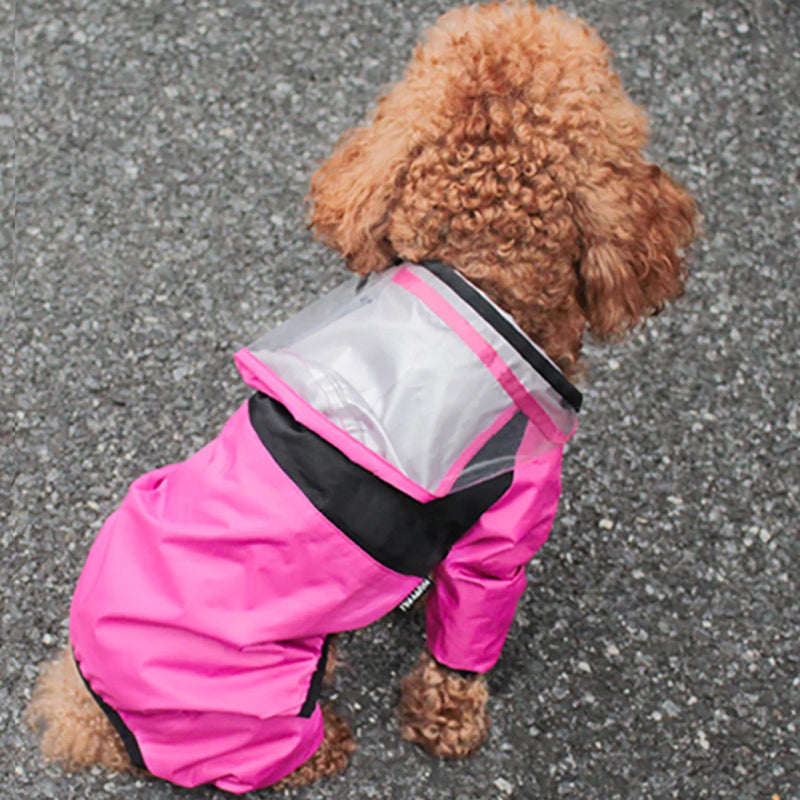 Capa de chuva para cachorro