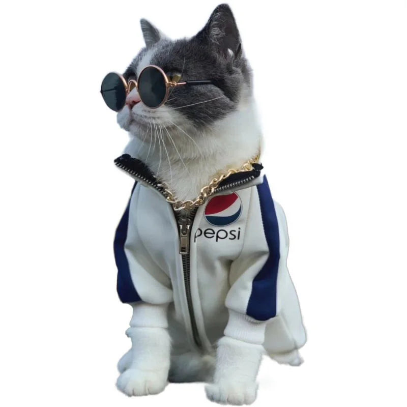 Óculos de proteção para cães pequenos, gatos