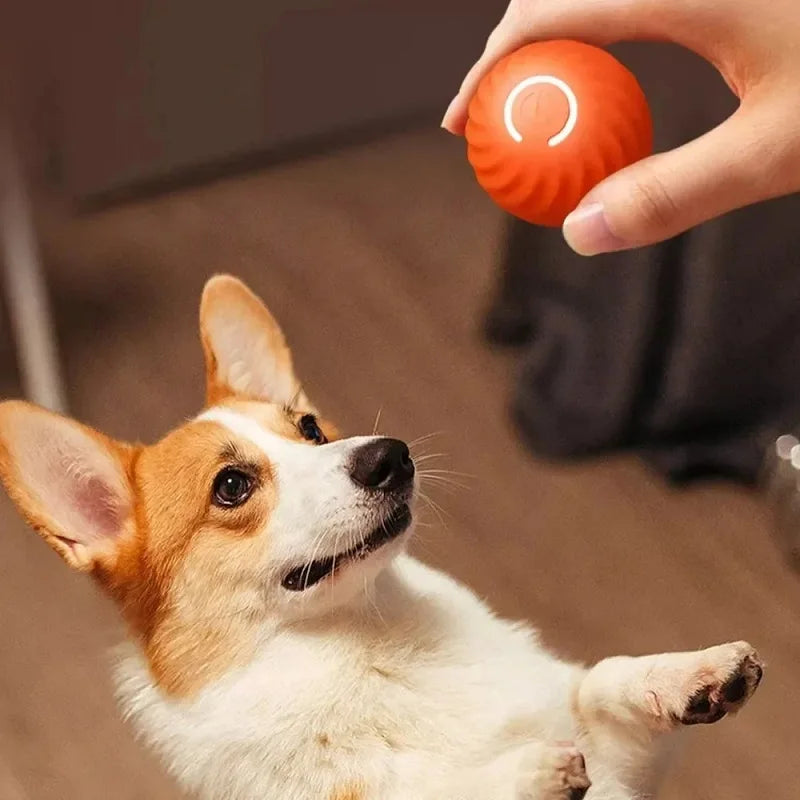 Brinquedo interativo para cachorro